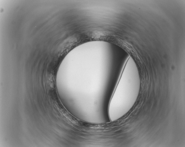 X0000086890470200704161010