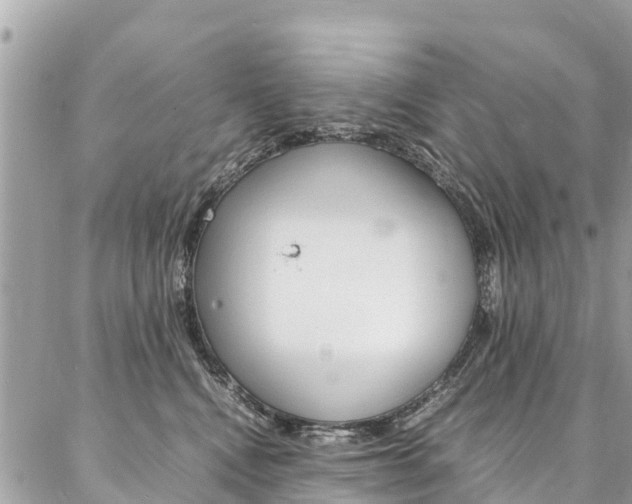 X0000086890472200704161010