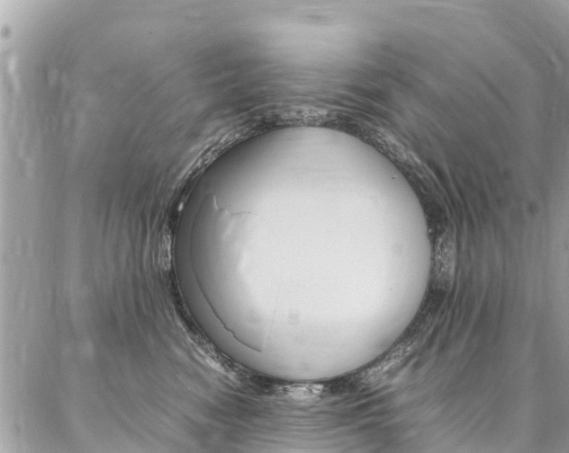 X0000086890474200704161010