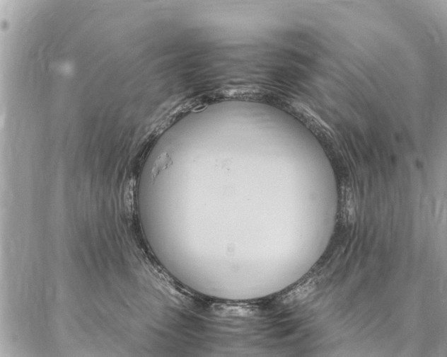 X0000086890475200704161010