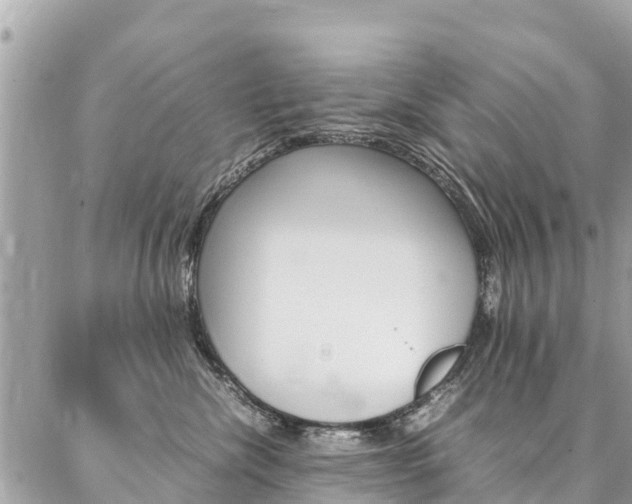 X0000086890476200704161010