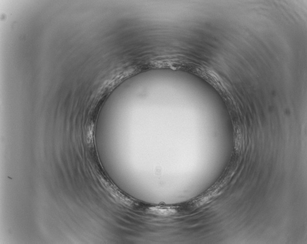 X0000086890477200704161010