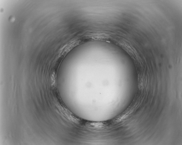 X0000086890478200704161010