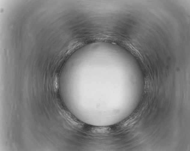 X0000086890479200704161010