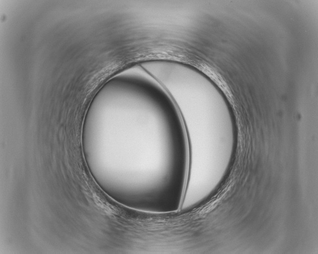 X0000086890481200704161010