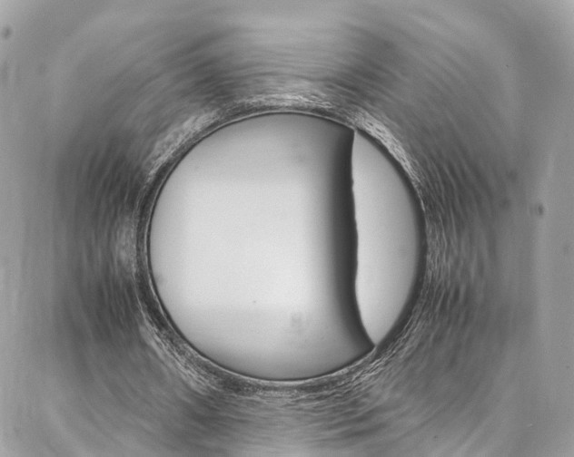 X0000086890482200704161009