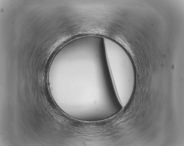 X0000086890483200704161009