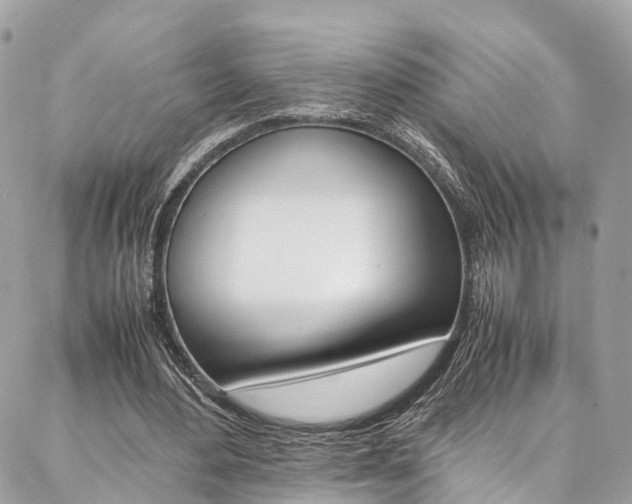 X0000086890484200704161009