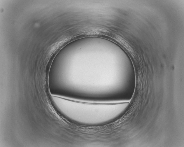 X0000086890485200704161009