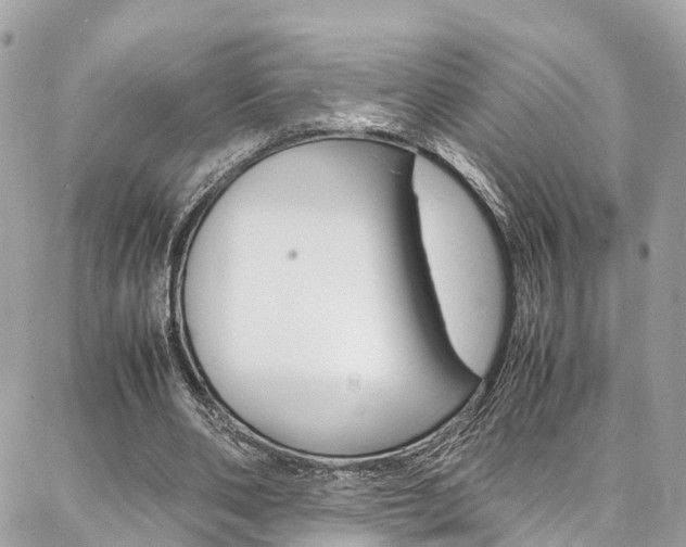 X0000086890486200704161009