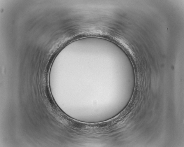 X0000086890487200704161009