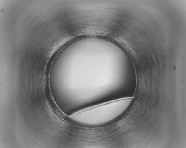 X0000086890488200704161009