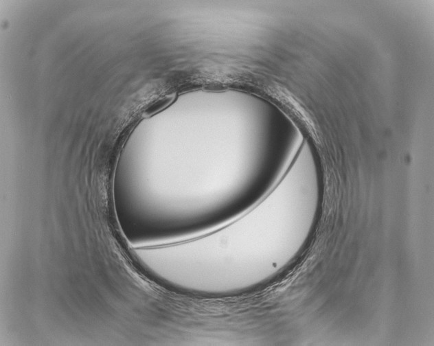 X0000086890489200704161009