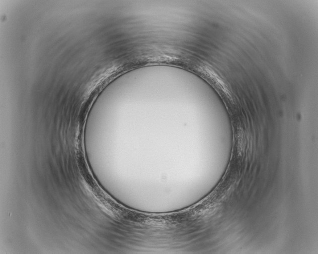 X0000086890490200704161009