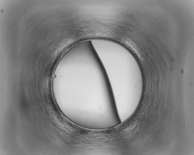 X0000086890491200704161009