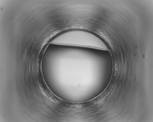 X0000086890492200704161009