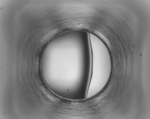 X0000086890493200704161009