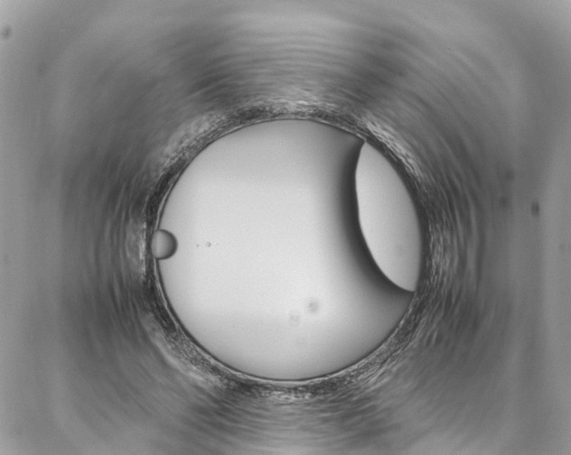 X0000086890494200704161009