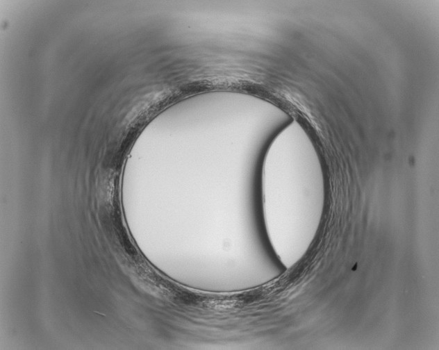 X0000086890495200704161009