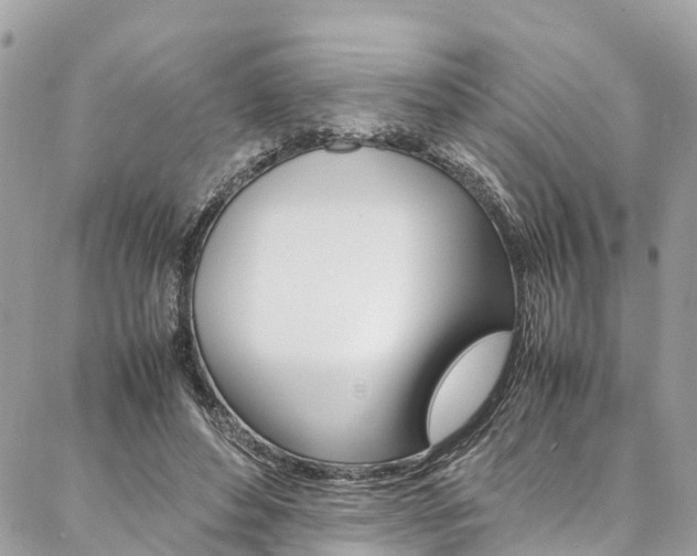 X0000086890496200704161009