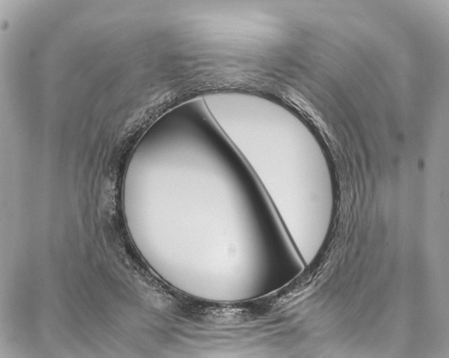 X0000086890497200704161009