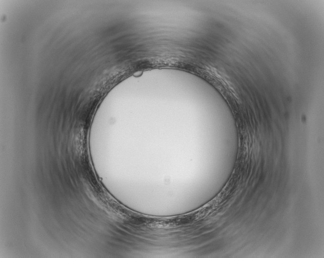 X0000086890498200704161009