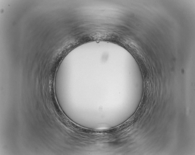 X0000086890499200704161009