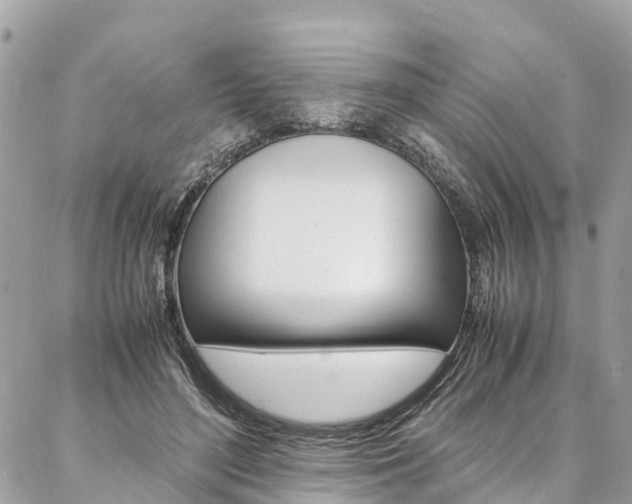 X0000086890500200704161009