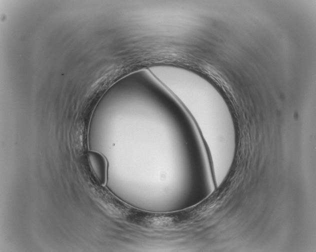 X0000086890501200704161009