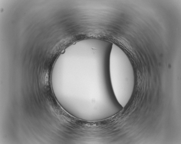 X0000086890502200704161009