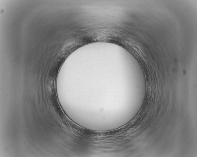 X0000086890503200704161009