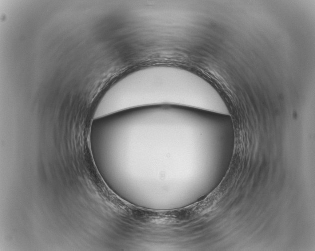 X0000086890504200704161009