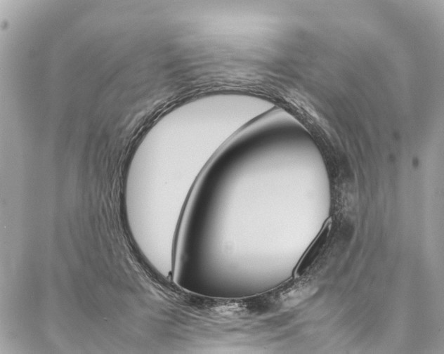 X0000086890505200704161009