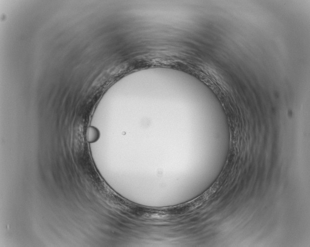 X0000086890506200704161009