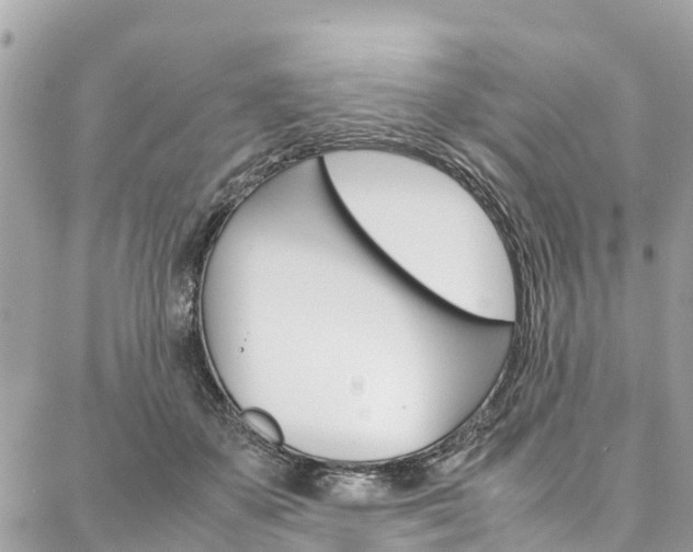 X0000086890507200704161009