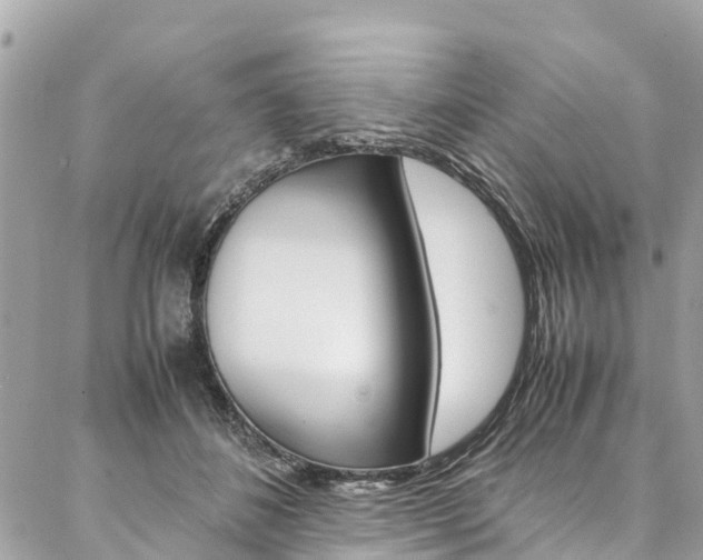 X0000086890508200704161009