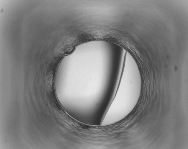 X0000086890509200704161009