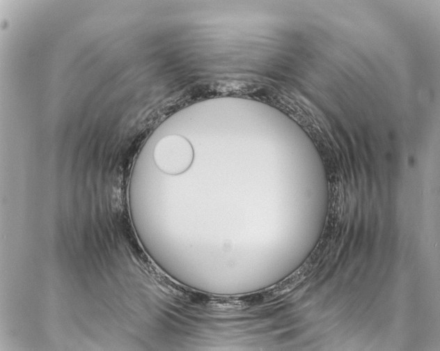 X0000086890510200704161009