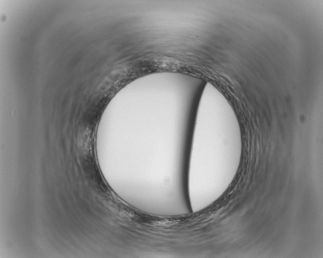 X0000086890511200704161009