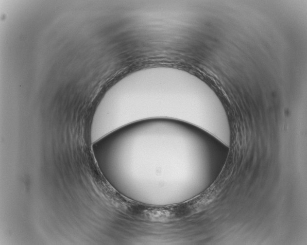 X0000086890512200704161009