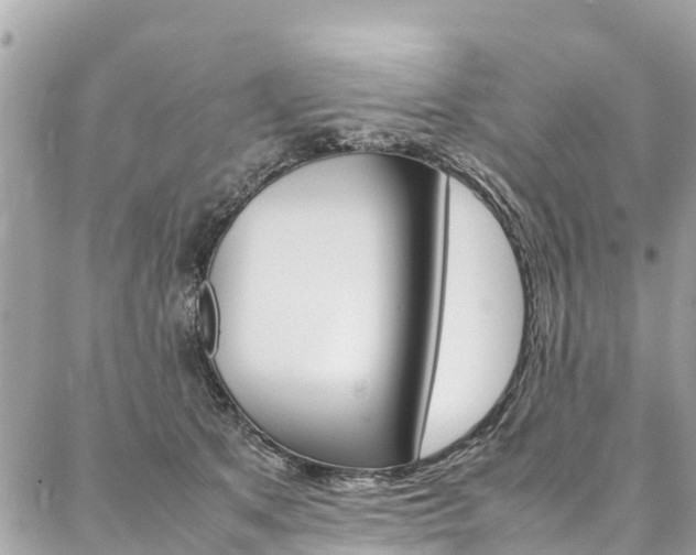 X0000086890513200704161009