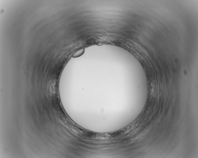 X0000086890514200704161009