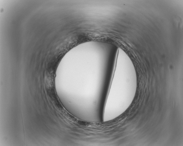 X0000086890515200704161009