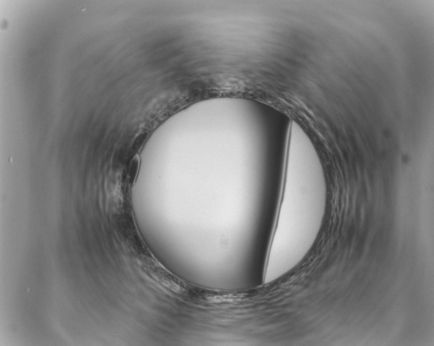 X0000086890516200704161009