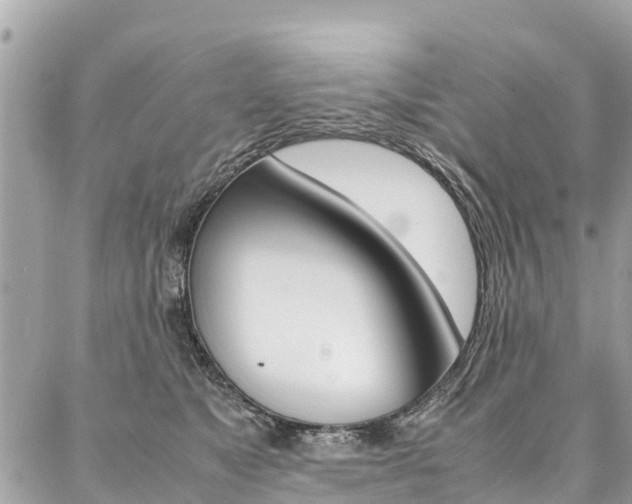 X0000086890517200704161009