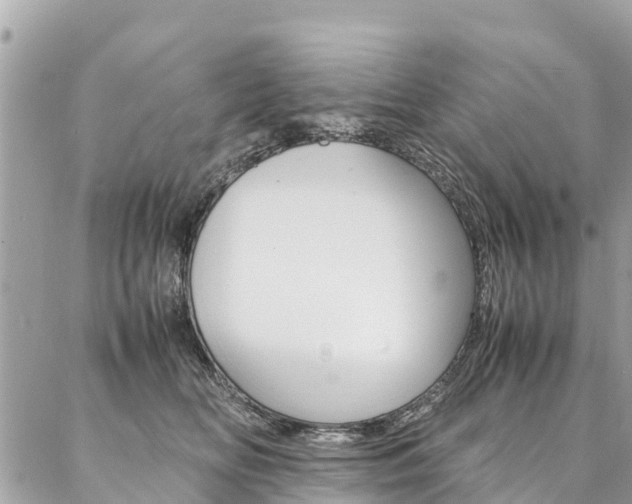 X0000086890518200704161009