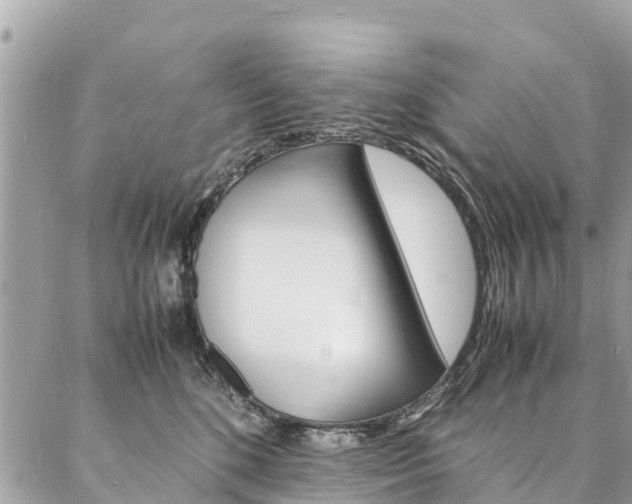 X0000086890520200704161009