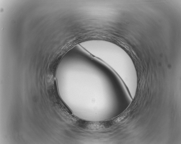 X0000086890521200704161009