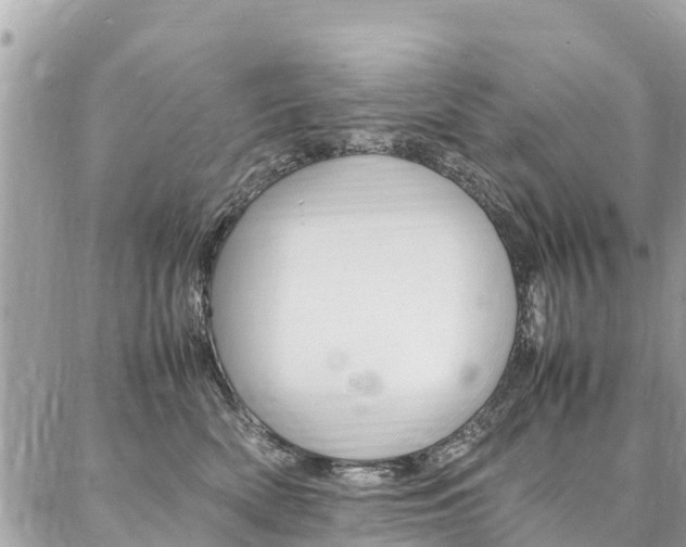 X0000086890522200704161009