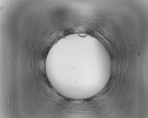 X0000086890523200704161009